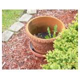 pot