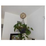 plant decor 