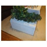 wicker chest and plant 