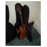 acoustic guitar 