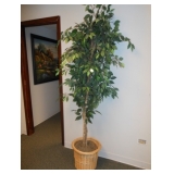 tree