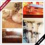 Cleveland Estate Online Auction - East Bagley Road