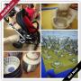 Boston Downsizing Online Auction - Saratoga Street