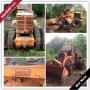 Lexington Downsizing Online Auction - Cliffe Avenue