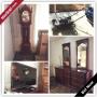 Lakeland Moving Online Auction - Walking Horse 