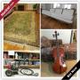 Warren Moving Online Auction - Kensington Court