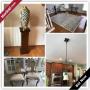 Clifton Moving Online Auction - Twin Lakes Drive
