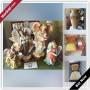 Spencerport Downsizing Online Auction - Nichols Street
