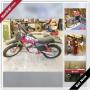 Newton Downsizing Online Auction - Kenneth Street