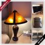 Buckeye Estate Sale Online Auction - South Turquoise Drive
