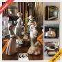 Wittmann Downsizing Online Auction - West Wilson Avenue