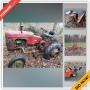 HIGH END AUCTION -Spencerport Moving Online Auction - Colby Street