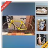 Phoenix Estate Sale Online Auction - East Larkspur Drive