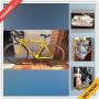 Phoenix Estate Sale Online Auction - East Larkspur Drive