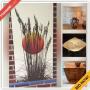 Annapolis Downsizing Online Auction - Cove of Cork Lane