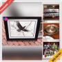West Chester Downsizing Online Auction - West Strasburg Road