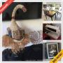 Los Gatos Downsizing Online Auction - Orange Blossom Lane 