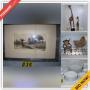 Rochester Downsizing Online Auction - Blue Grass Lane