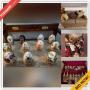 Belleville Estate Sale Online Auction - Union Avenue