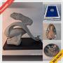 Campbell Reseller Online Auction - Gilman Avenue