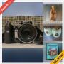 Coral Gables Downsizing Online Auction - Obispo Avenue