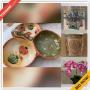 San Diego Downsizing Online Auction - Via Vivaldi