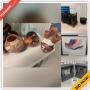 Hemet Downsizing Online Auction - South Sanderson Avenue (STORAGE)