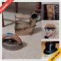 Ocala Moving Online Auction - Southwest 160th Lane