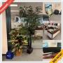 Alpharetta Business Downsizing Online Auction - Mansell Road