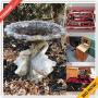 Wareham Moving Online Auction - Hathaway Street