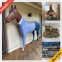 Hilton Head Island Downsizing Online Auction - Headlands Drive