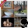 Purchase Downsizing Online Auction - Brae Burn Drive