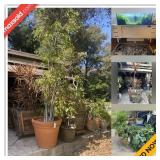 Glendale Moving Online Auction - Capistrano Avenue