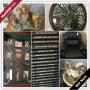 Fountain Valley Downsizing Online Auction - Magpie Lane