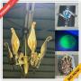 Cocoa Estate Sale Online Auction - Broadcast Ct.