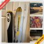Houston Downsizing Online Auction - Apache Plume Drive