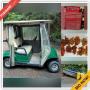Port Townsend Estate Sale Online Auction - State Road 20