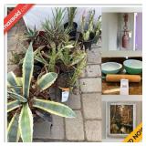 Castro Valley Estate Sale Online Auction - Redwood Road