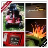 McDonough Moving Online Auction - Chafin Drive