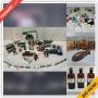 Campbell Downsizing Online Auction - Dell Avenue