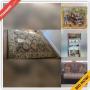 Decatur Commercial Liquidation Online Auction - Clairmont Road