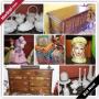 Whitehall Moving Online Auction - Oakwood Dr