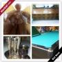 Chelmsford Moving Online Auction - Carriage Drive