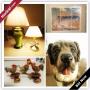 New Milford Moving Online Auction - Elizabeth Court
