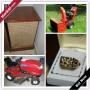 Allentown Moving Online Auction - Whittier Drive