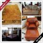 Naples Estate Online Auction - Berkeley Dr.