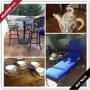 Orlando Downsizing Online Auction - Ethan Lane