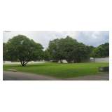 Orlando Lot - Real Estate Auction 