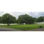 Orlando Lot - Real Estate Auction 