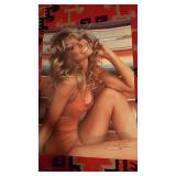 Farrah Fawcett Poster